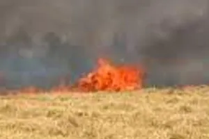 सहारनपुर में आग लगने से 13 बीघा गेहूं की फसल जलकर हुई राख