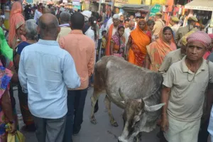 रामनवमी मेला: जगह-जगह फैली गंदगी, छुट्टा जानवर भी बने आफत