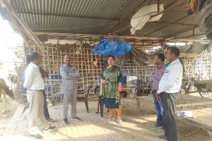 बाराबंकी: खंड विकास अधिकारी ने गोवंश आश्रय स्थलों का लिया जायजा, दिये निर्देश