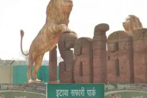 इटावा: आसमान से बरसी आग, सफारी पार्क में पसरा सन्नाटा