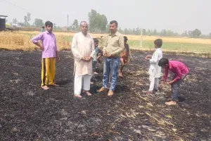 सीतापुर: अज्ञात कारणों से लगी भीषण आग, दो एकड़ फसल जलकर हुई राख