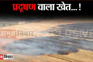 बरेली: जिला पंचायत अध्यक्ष रश्मि पटेल के खेत में फसल काटने के बाद अवशेष में लगाई आग, चारों ओर धुएं का गुबार, लोग हुए परेशान
