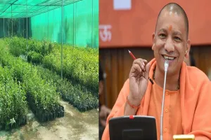 योगी सरकार की नई पहल, मनरेगा योजना से यूपी में बनेंगी 150 हाईटेक नर्सरी