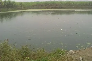 बरेली: खेत में किसान बना सकेंगे तालाब, मिलेगी सब्सिडी