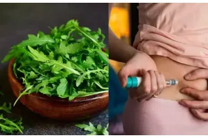 ब्लड शुगर को कंट्रोल करने के लिए इस पौधे का करें उपयोग, डायबिटीज के मरीजों को मिलेगी राहत