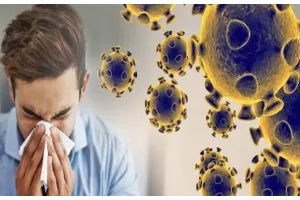 Health Tips: कोरोना के नया वैरिएंट XE ने दी दस्तक, गर्मियों में इन चीजों से करें इम्यूनिटी को स्ट्रांग रहें स्वस्थ