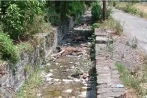 हल्द्वानी: सूखे खेतों ने बढ़ाई अन्नदाता की परेशानी, जाने कब होगी सिस्टम और मौसम की मेहरबानी?