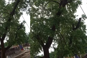 बहराइच: आंधी में टूटकर गिरा बिजली का तार, बिना घूस के टूटे विद्युत तार को नहीं जोड़ रहे कर्मी