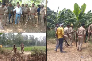 बाराबंकी: दूसरे दिन भी जारी रहा ऑपरेशन तेंदुआ, वन विभाग केले के खेत में छिपे होने की जता रहा संभावना