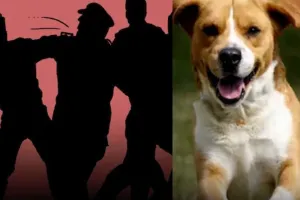 कानपुर: दबंगों ने पुलिस कर्मियों पर किया हमला, आरोपियों ने अपने पालतू कुत्ते से भी कटवाया