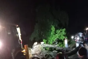 रामनगर: आंधी में गिरा पेड़, चपेट में आने से युवक की मौत, दो घायल