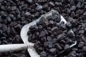 चंडीगढ़: एआईपीईएफ ने कोयला संकट की जांच कराने की मांग की