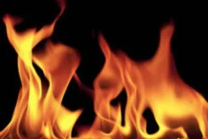 पीलीभीत: दियूरिया जंगल में लगी आग, दो हेक्टेयर एरिया चपेट में