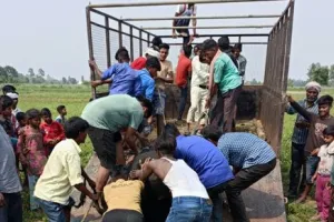 बरेली: मंत्री धर्मपाल का आया फोन हमलावर सांड पकड़ो तब अधिकारी दौड़े