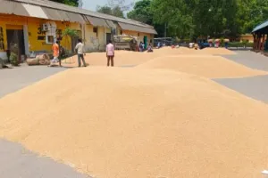 पीलीभीत: एक फीसदी भी गेहूं खरीद नहीं कर सका सरकारी सिस्टम