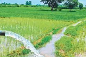 बरेली: 168 नहरों से हो रही 70 हजार हेक्टेयर भूमि की सिंचाई