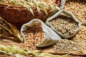 बरेली: खाद्यान नहीं मिलने से परेशान हो रहे कार्डधारक