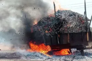 मुरैना में भूसे से भरी ट्रैक्टर-ट्राली में लगी आग, पांच लोग झुलसे