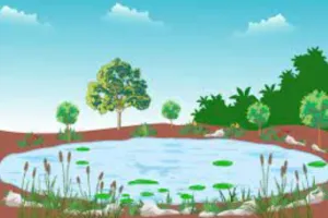 बरेली: अमृत सरोवर बनाने का कार्य हुआ तेज