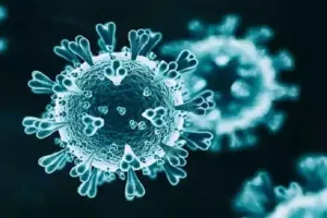 दक्षिण अफ्रीका कोविड-19 महामारी के एक नए चरण में पहुंचा: इसका तात्पर्य क्या है?