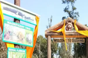 लखीमपुर-खीरी: दुधवा टाइगर रिजर्व में पालतू हाथी मिथुन की हुई मौत