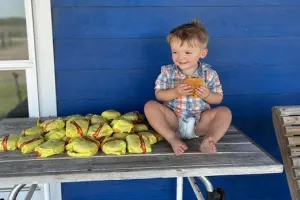 मम्मी के फोन से दो साल के बच्चे ने ऑर्डर कर दिए 31 बर्गर, 1200 की टिप भी दी, जानें फिर क्या हुआ