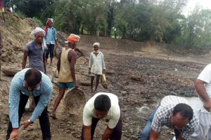 जौनपुर में 2175 किसान बांस की करेंगे खेती : उपायुक्त मनरेगा भूपेंद्र सिंह