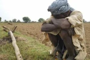नैनीताल: फसल तबाह, बीमा कंपनी ने नहीं दिया उचित मुआवजा
