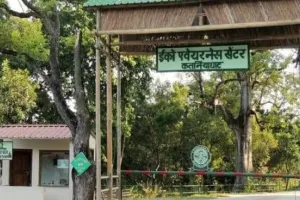 बहराइच: संरक्षित क्षेत्र में पहुंचे मवेशी, वन कर्मियों ने लगाया जुर्माना