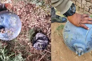 गुजरात में आसमान से गिरे धातु के गोले चीनी रॉकेट का मलबा हो सकते हैं: विशेषज्ञ