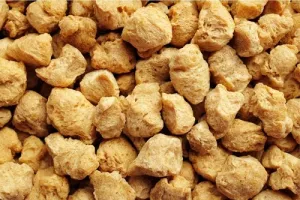 ऊंचे भाव के कारण अप्रैल में भारत का सोया खली निर्यात 65 प्रतिशत गिरा