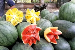 मुरादाबाद से पांच गुना महंगा है दिल्ली का ‘पानी’