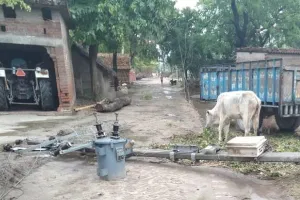 बहराइच: आंधी-पानी ग्रामीणों के लिये बना मुसीबत, कहीं गिरे पेड़ तो कहीं खम्भा, आवागमन भी हुआ बाधित