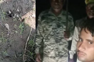 बहराइच: फिर तालाब से बाहर निकला मगरमच्छ, ग्रामीणों को दौड़ाया, वन कर्मियों ने किया मुआयना