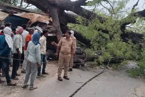 अयोध्या: आधे घंटे तक धूल भरी आंधी के बाद बारिश, टीन-टप्पर उड़े, कई जगह गिरे पेड़, यातायात भी हुआ बाधित