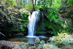 कार्बेट वाटर फॉल में डूबने से दो छात्रों की मौत, चेतावनी बोर्ड को दरकिनार कर उतरे थे पानी में