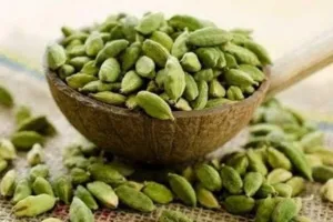 इलायची है बड़े काम की चीज, इन बीमारियों से दे सकती है निजात