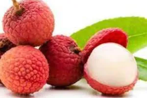 जरूर खाएं गर्मियों में रसीली लीची, इम्यूनिटी बढ़ाने के साथ ही हैं, यह जबरदस्त फायदे…