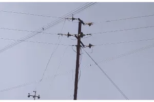 रायबरेली: दिन रात मेहनत करके ठीक की गई 14 मील बिजली लाइन