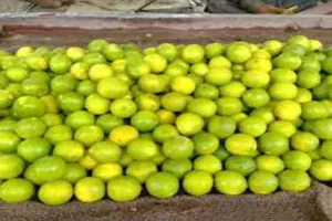 बलिया : नींबू के भाव में आयी गिरावट, इस वजह से बढ़े थे दाम
