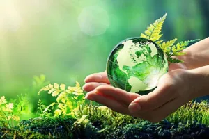 बरेली: गांवों में बनेंगे अमृत वन, पर्यावरण को मिलेगा बढ़ावा