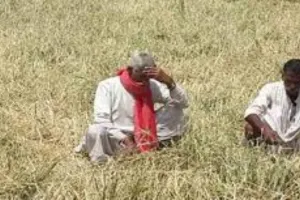 अयोध्या: फसलों की सिंचाई में आई समस्या, सूखी नहरें देख किसान हुए परेशान