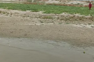 रायबरेली: 24 घंटे में दो फिट बढ़ा गंगा का जलस्तर, सब्जियों के लिए बढ़ा खतरा