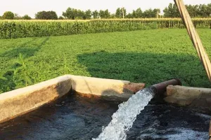 बरेली: गहरे नलकूप पर सरकार दे रही एक लाख की सहायता, जानें कैसे ले सकेंगे फायदा?