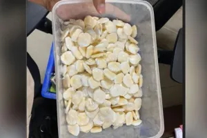 दिल्ली हवाई अड्डे पर लाइबेरिया की महिला से कोकीन बरामद, कीमत जानकर हो जाएंगे हैरान