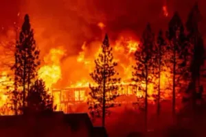 अमेरिका : फ्लैगस्टाफ के जंगल में लगी आग, क्षेत्र से निकाले गए स्थानीय लोग