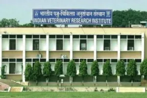 बरेली: आईवीआरआई में बिना चीरे के पशुओं में पथरी की बीमारी का हो रहा इलाज