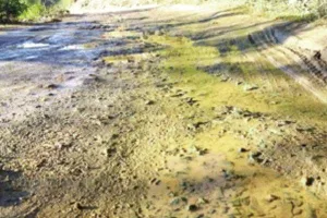 हल्द्वानी: एचपीसीएल से सड़कों की हालत सही करवायें : भगत