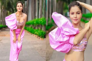 Rubina Dilaik Photos: पिंक ड्रेस में रुबीना दिलैक का ग्लैमरस अंदाज, अदाएं देख तेज हुईं फैंस की धड़कनें