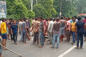 अमरोहा: जंगल से घास लेने गई महिला पर जंगली कुत्तों ने किया हमला, मौत